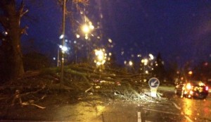 Fallen trees and flooding but South Cheshire escapes Storm Aileen
