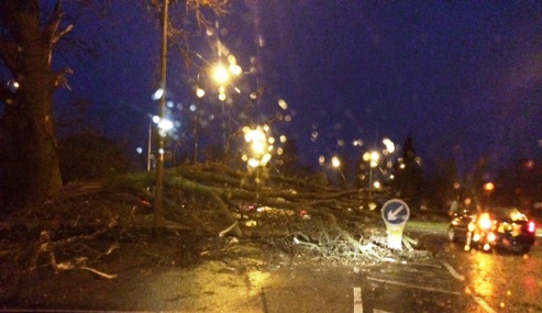 Storm Aileen - Peacock roundabout storm damage, Willaston