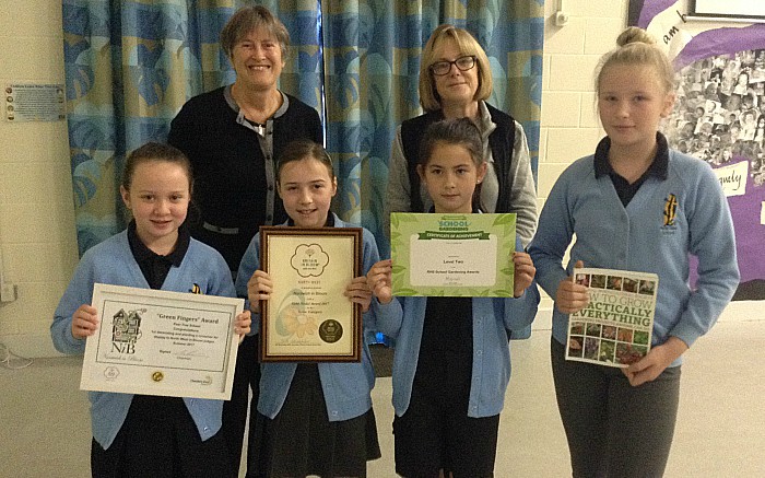 Pear Tree pupils, hedgehogs, Nantwich in Bloom