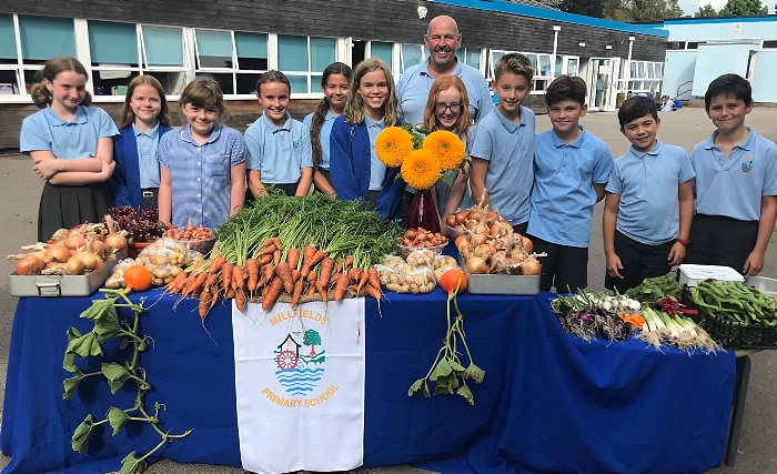 vegetable crop - Millfields Gardening Club (1)