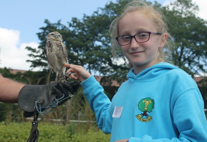 Primary College 2015, falconry workshop