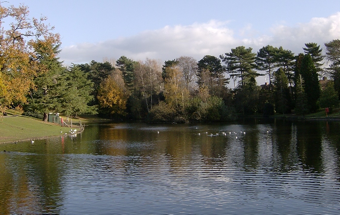 Queens Park in autumn (1)