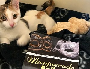 RSPCA Stapeley to stage Masquerade Ball fundraiser