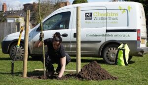 Cheshire Wildlife Trust to recruit for seven new positions