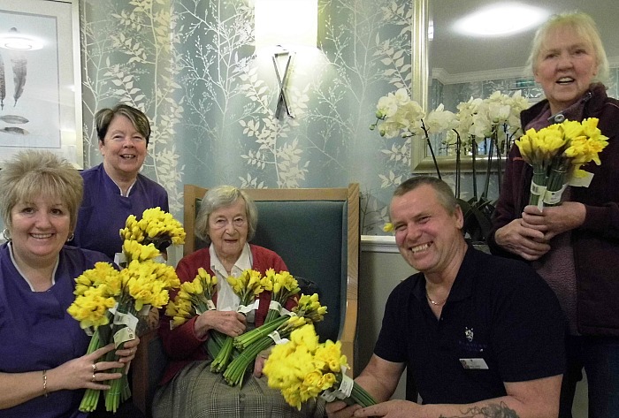 Richmond Village daffodils donated by Sainsbury's