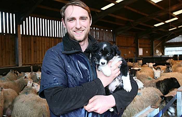 lambing - Shepherd Anthony Baggaley with Bruce (1)