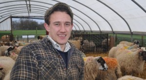Thousands expected at Reaseheath College Nantwich lambing weekends