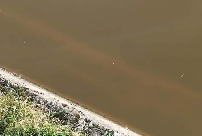 Shroppie Shelf opposite Nantwich Canal Centre (1)