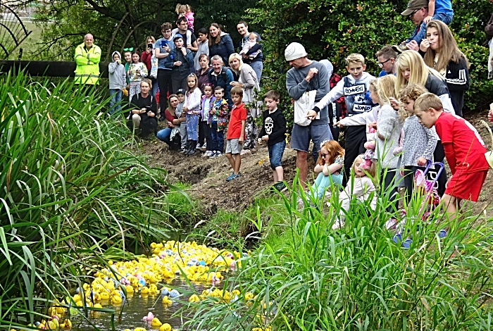 Start of Duck Race