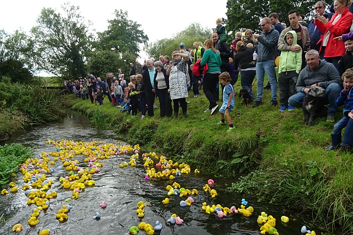 Start of Duck Race