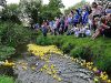 Wistaston Duck Race and Children’s Model Boat Race returns