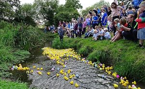825 plastic ducks race at annual Wistaston community event