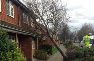 Storm Frank damages homes and trees in Nantwich