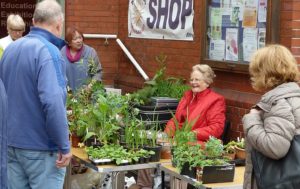 Nantwich Museum Plant and Book Sale set for June 3