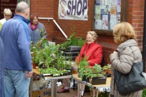Nantwich Museum raises £210 from plant and book sale