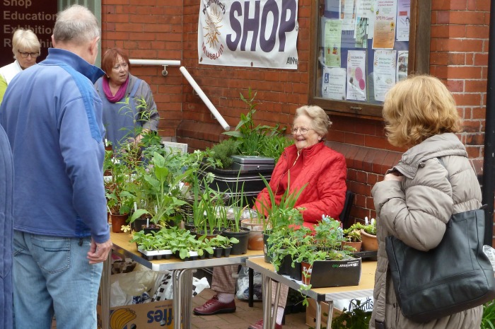 The Plant Sale in full swing 2016 (1)