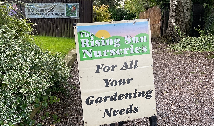 garden centre - The Rising Sun Nurseries - entrance sign (1)