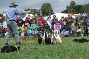 Reaseheath College Family Festival in Nantwich set for May 13