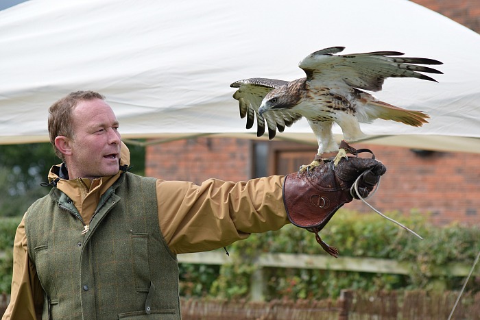 Toby Milburn from Heritage Falconry gives a birds of prey demonstration