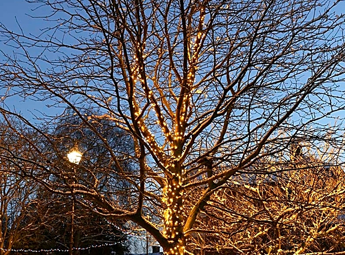 Tree of Light plans Nantwich