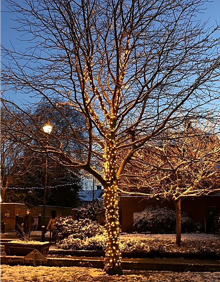 Tree of Light