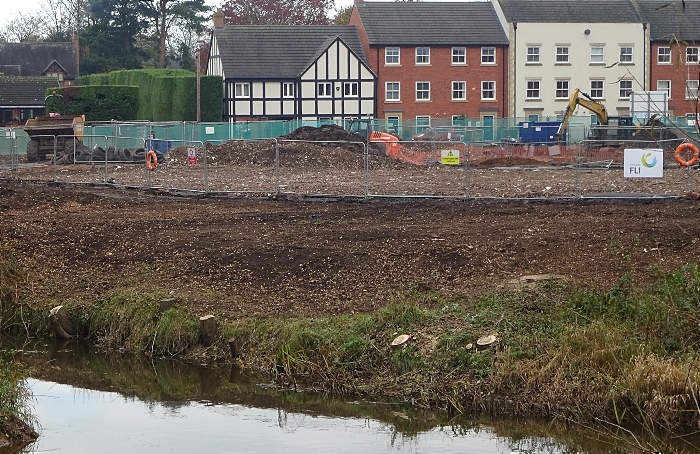 reader-s-letter-shocked-to-see-nantwich-trees-chopped-down