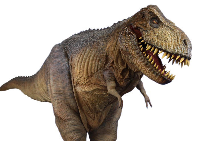 Tyrone the T-Rex will appear at Reaseheath's Family Festival