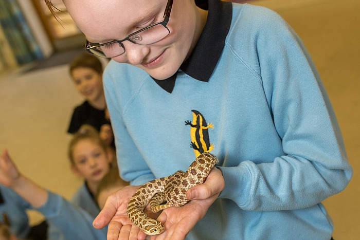 Up close with exotic reptiles at Pear Tree