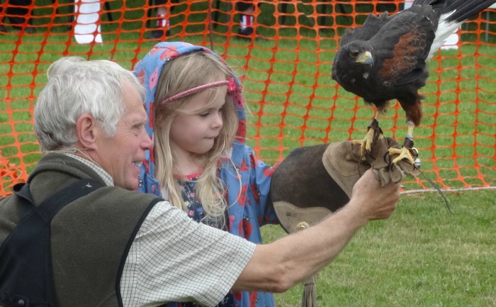 Vale Royal Falconry - hankelow village fete