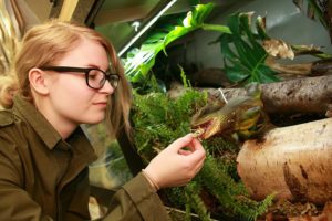 Reaseheath Zoo expertswarning over exotic pet Christmas gifts