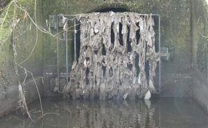 Storm drain “pollution” killing Wistaston Brook wildlife, fear residents