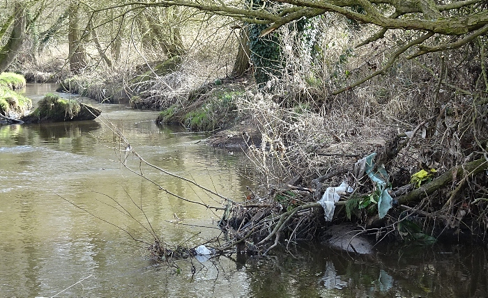 Waste trapped further downstream at Wistaston Brook (1)