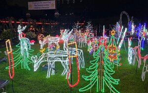 “Drive thru” Weston Christmas Light Display proves major hit