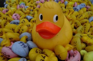 Wistaston Duck Race and Model Boat Race takes place September 9