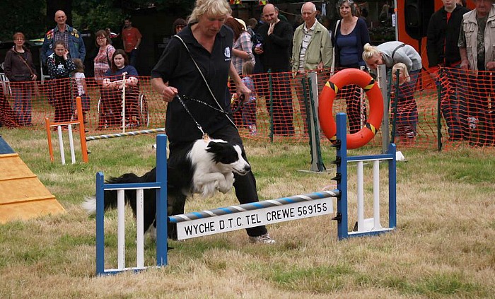 Wyche Dog Show, RSPCA Stapeley Grange wildlife centre fun day