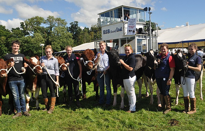 agric students with dairy and beef cattle