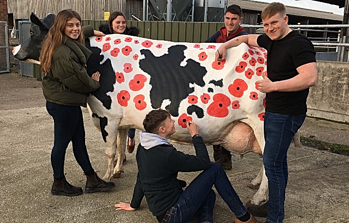 agriculture cow - reaseheath tributes