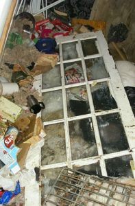animal cruelty - staffie in cheshire found in these conditions
