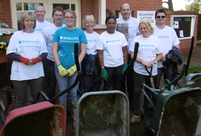 bank staff chip in at wildlife centre