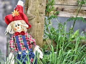 Barbridge villagers create Scarecrow trail for lockdown children