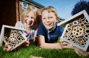 Stapeley youngsters help area’s bee population to thrive