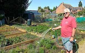 Brookfield Allotments in Nantwich