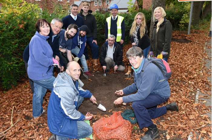 planting spring bulbs in stapeley