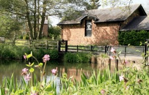 Visitor attraction Bunbury Mill to reopen in 2022