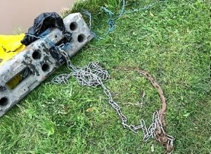 concrete weight and chain used to drown dog