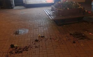 Yobs wreck flower beds in Nantwich town centre