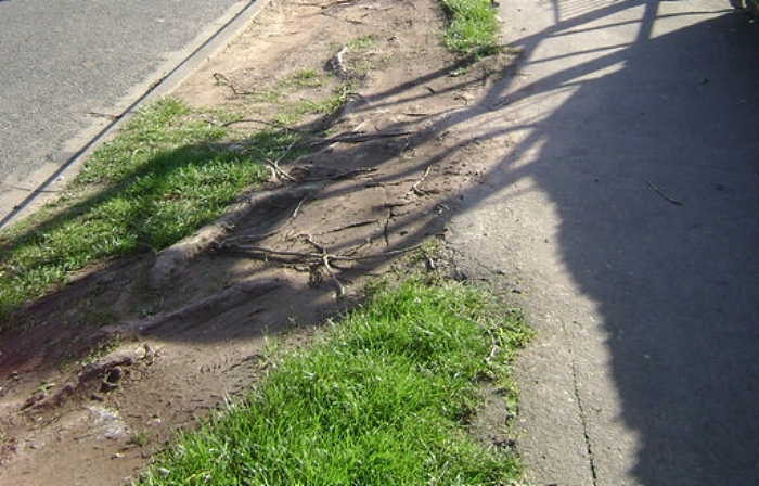 damaged grass verges - pic by Robin Stott creative commons