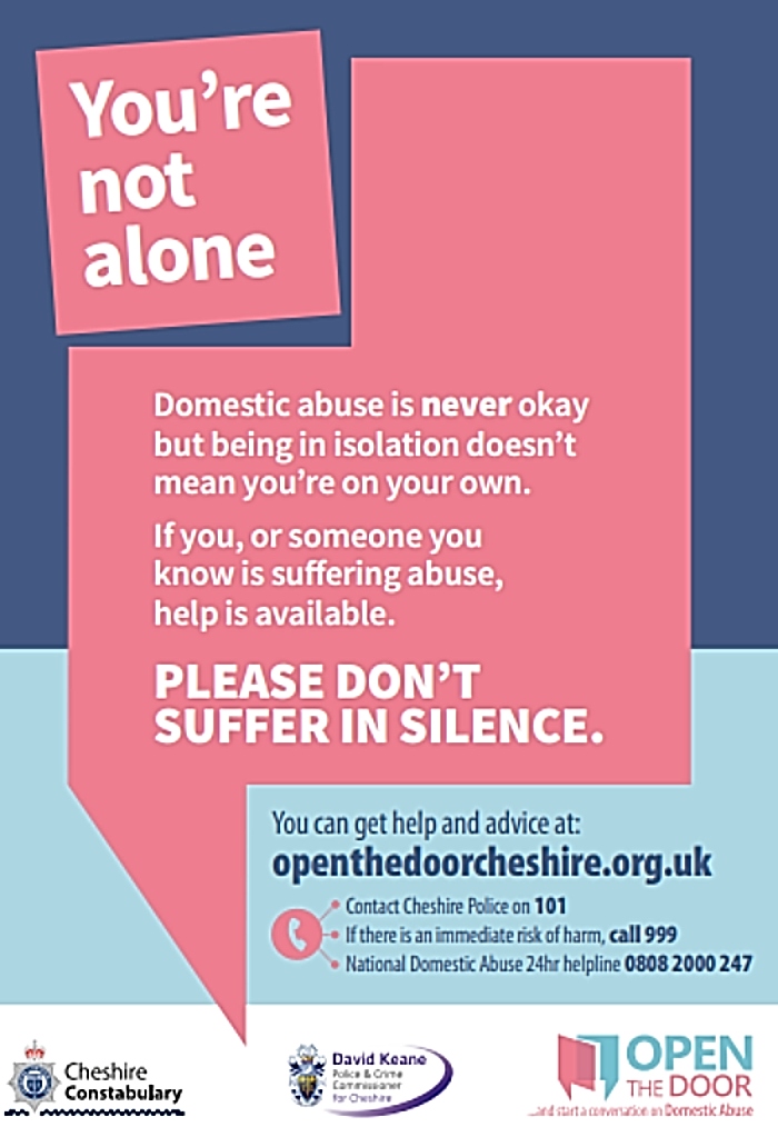 domestic abuse police poster