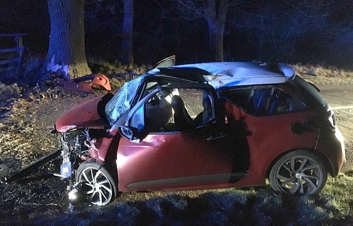 tree - driver and passenger escape after A534 crash. Driver arrested