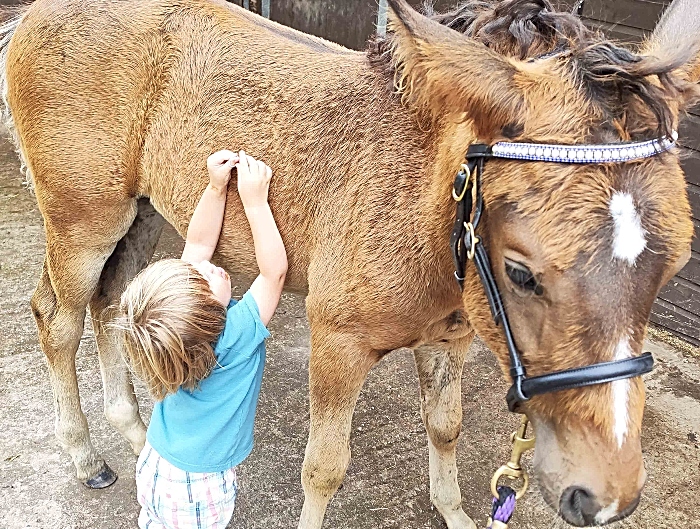 elara with breeder's young child